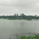 Eat  sleep  move repeat: The lazy person’s guide to cardiac health