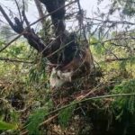 Bring back Islami Bank’s misappropriated funds