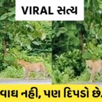 Winter Dressing Tips When It’s Really Cold Out