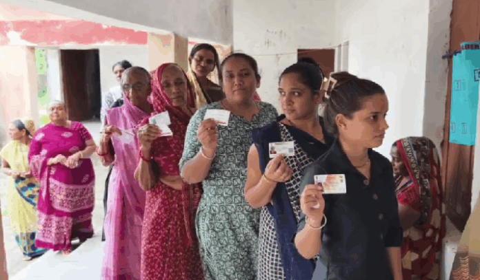 election kadi