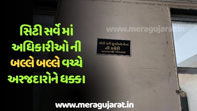 WhatsApp Image 2025-11-09 at 6.24.43 PM
