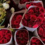 Jeffrey Epstein એ આત્મહત્યા નહોતી કરી !!! ” પોસ્ટમોર્ટમ દરમિયાન હાજર ડૉક્ટરનો ચોંકાવનારો દાવો