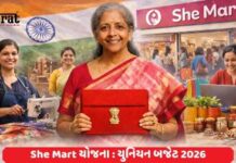 Union Budget 2026: મહિલાઓ માટે શી-માર્ટ યોજનાની જાહેરાત, જાણો બજેટમાં મહિલાઓને બીજું શું મળ્યું?