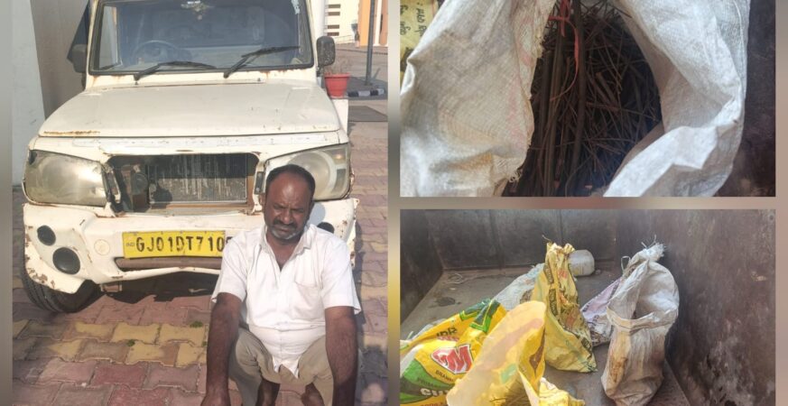 WhatsApp Image 2026 02 16 at 5.04.37 AM