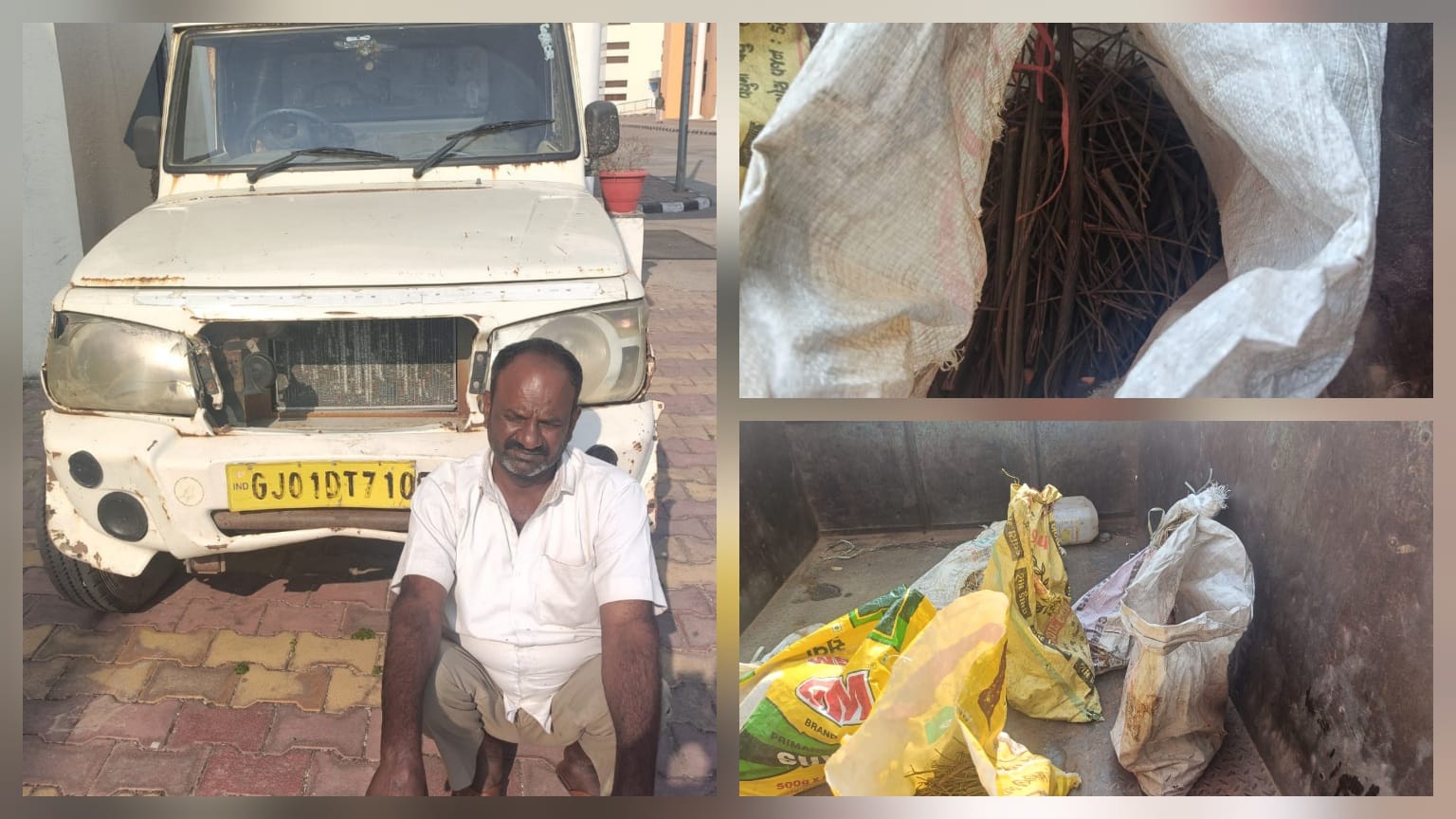 WhatsApp Image 2026 02 16 at 5.04.37 AM