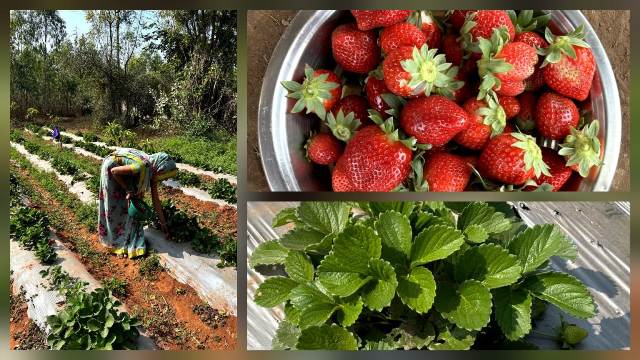 WhatsApp Image 2026 02 16 at 6.34.56 AM