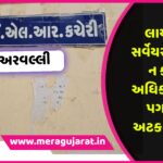 સ્થાનિક સ્વરાજની ચૂંટણી પહેલાં AAPને ઝટકો, રાજુ કરપડાનું રાજીનામું
