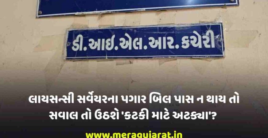 કચેરી 20260220 073029 0000