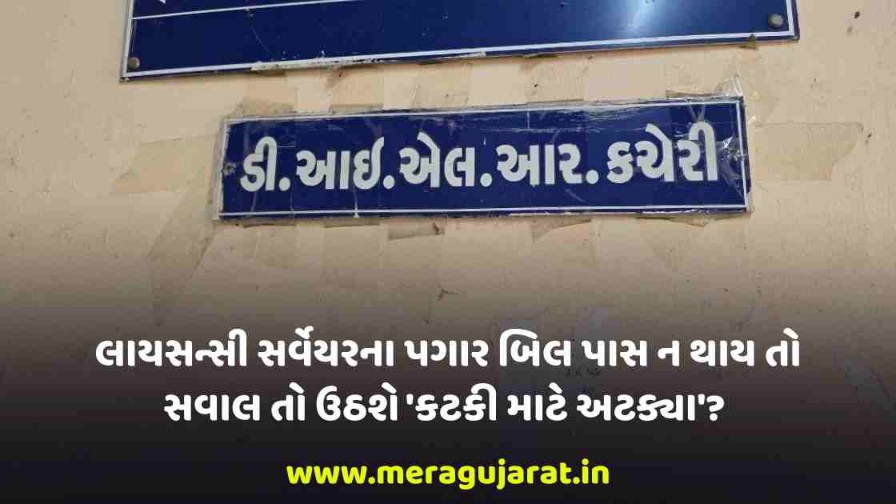 કચેરી 20260220 073029 0000