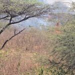 મોડાસા શહેરમાં શબ્દસેતુ સાહિત્યિક સંસ્થાના સર્જકો દ્વારા સર્જક મિલન યોજાયું