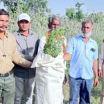 અરવલ્લી : મોડાસામાં હિન્દુ નવ વર્ષ નિમિત્તે વિશાળ ‘હિન્દુ તિલક’ કાર્યક્રમ, 11 મંદિરોમાં ઉજવણી