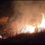 અરવલ્લી માલપુરના ડુંગરમાં ભીષણ આગ: એક કલાક બાદ પણ ફોરેસ્ટ ટીમ ગાયબ, કરોડોની ગ્રાન્ટ સ્વાહા!!!