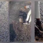 અરવલ્લી જંગલો પર કરોડોની ગ્રાન્ટ દવમાં સમાઈ કે ખિસ્સામાં? ફોરેસ્ટ કવર માત્ર 8.87%, ડેન્સ ફોરેસ્ટ કેટલા Sq. Km.?