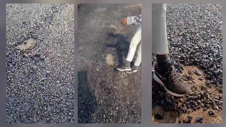 WhatsApp Image 2026 03 09 at 7.05.50 PM