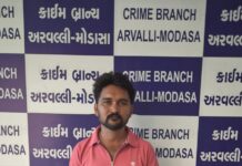 અરવલ્લી : LCBએ શામળાજી આશ્રમ ચોકડી નજીકથી વોન્ટેડ રાજસ્થાની બુટલેગરને દબોચ્યો