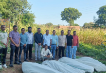 અરવલ્લી : શામળાજીના ગલીસિમરોમાં નશાની ખેતીનો પર્દાફાશ,ANW અને SOGએ 43 લાખનો લીલો ગાંજો ઝડપ્યો